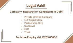 Company Registration Consultant in Delhi