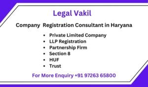 Company Registration Consultant in Haryana